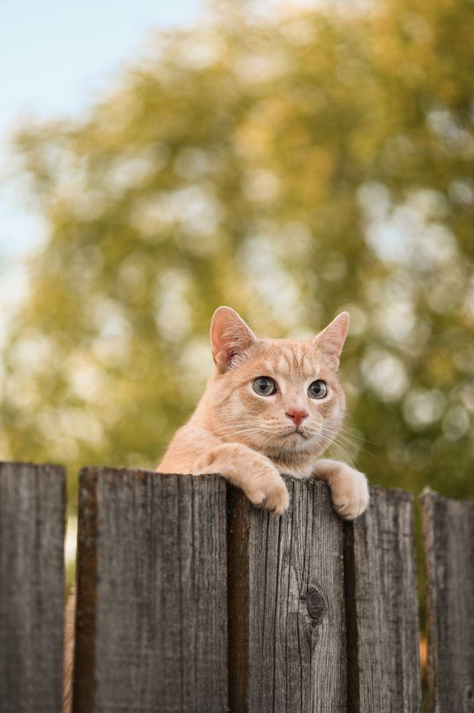 Photograph by Алина Клюкина