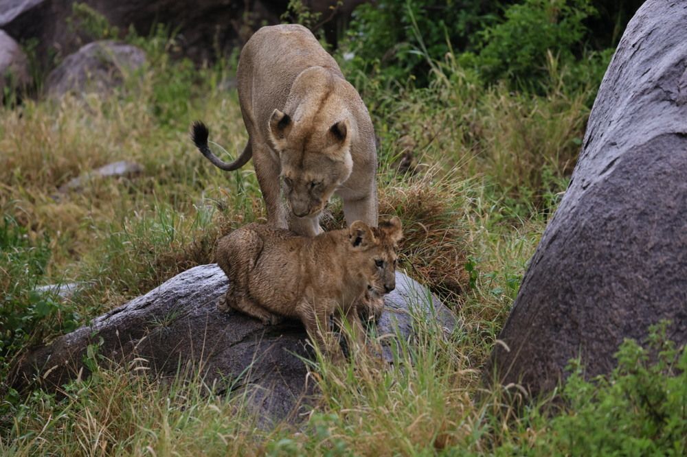 Photograph by Одаренко Ольга
