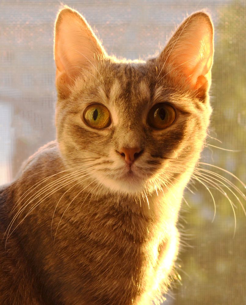 Photograph by Юлия Ромашина