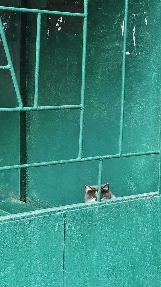 Photograph by Юлия Ромашина