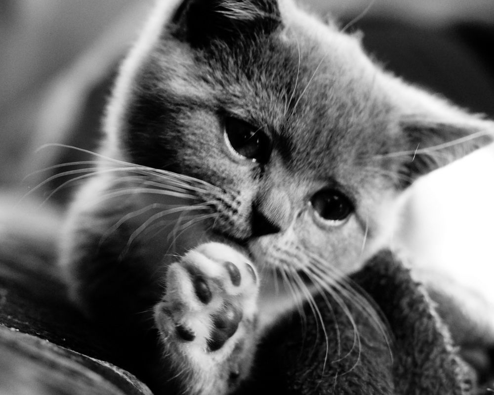 Photograph by Юля Хатыпова