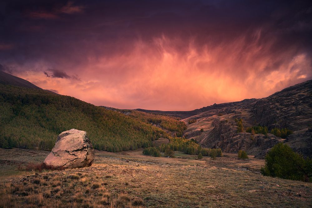 Photograph by Антипов Дмитрий