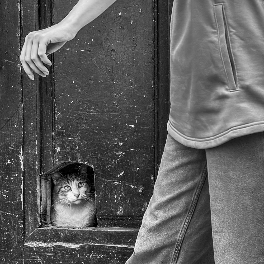 Photograph by Анна Стрелковская