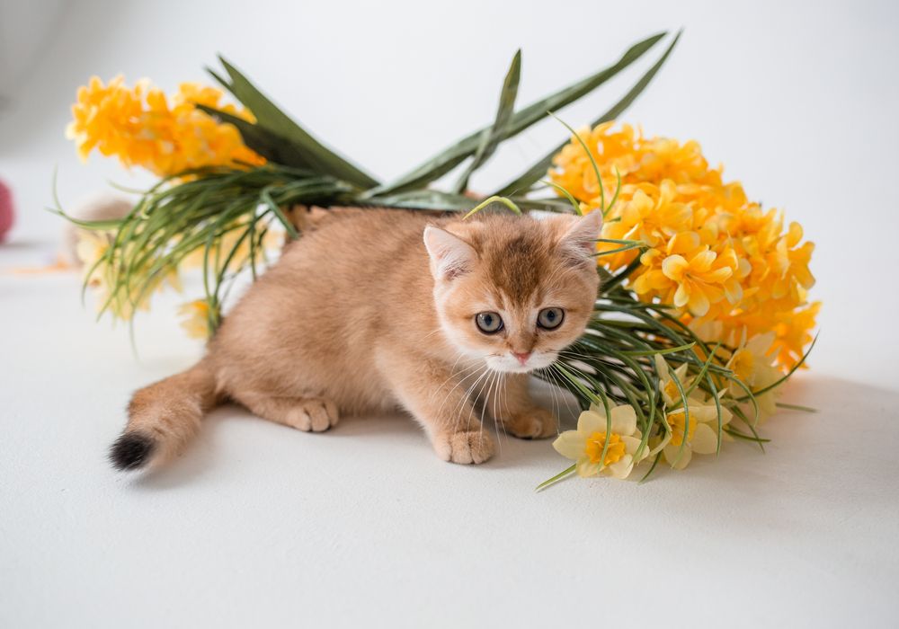 Photograph by Татьяна Муравкина