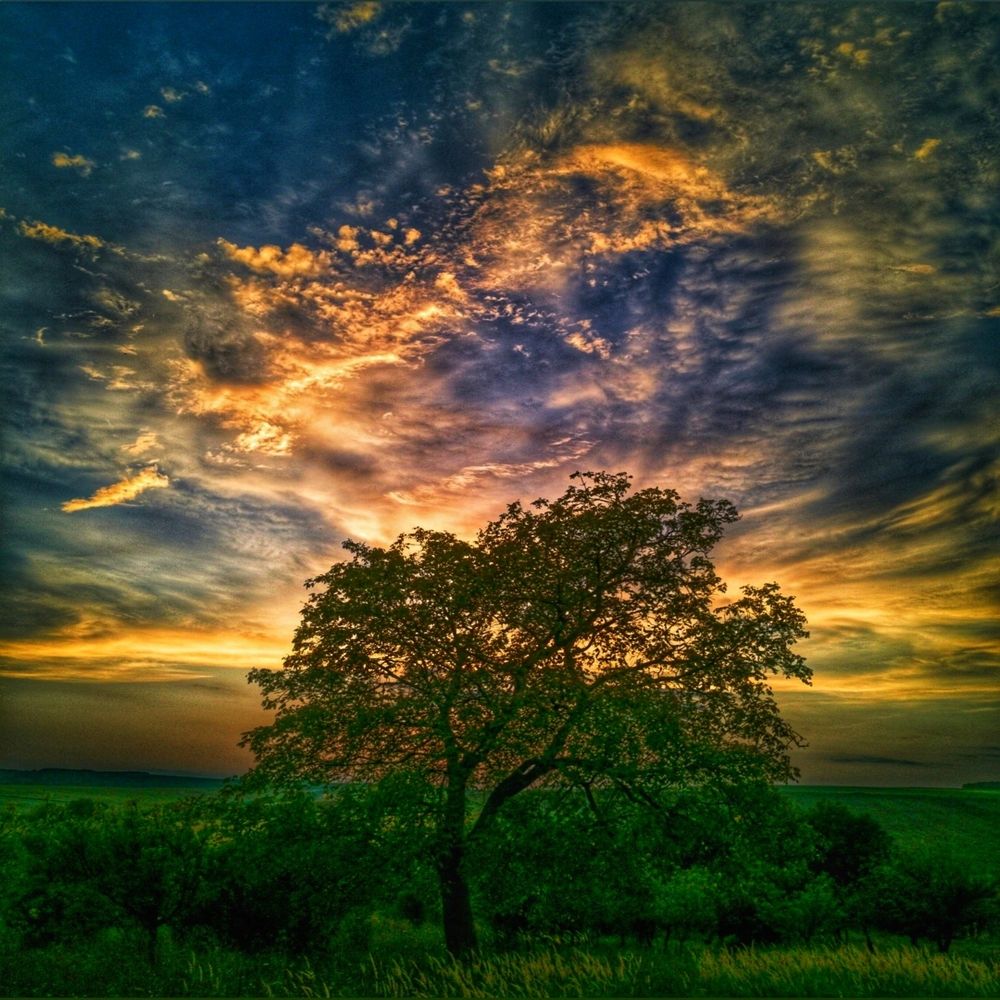 Photograph by Nikolett Mengyi