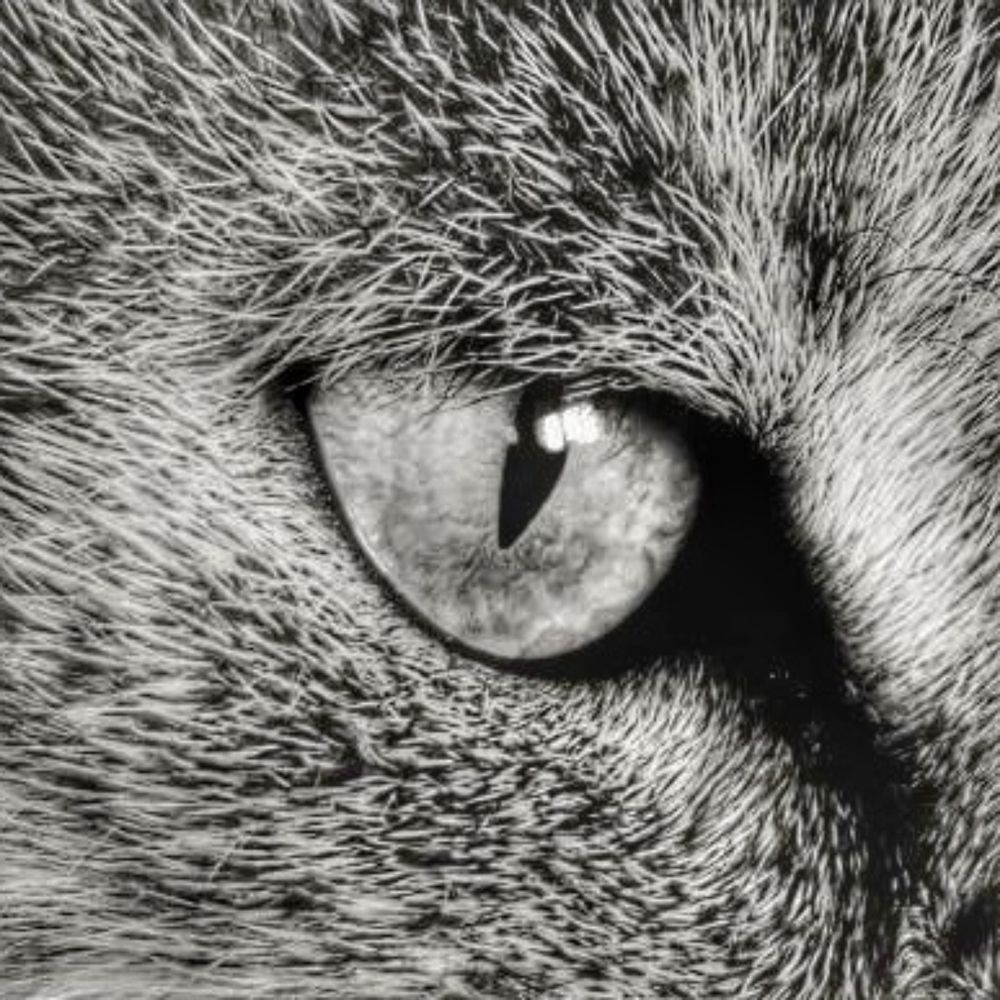 Photograph by Nikolett Mengyi