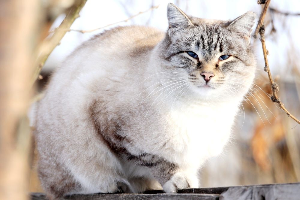 Photograph by Вася Кадочников