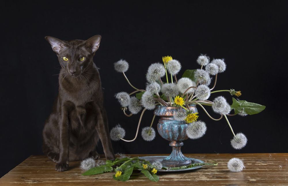 Photograph by Татьяна Феденкова