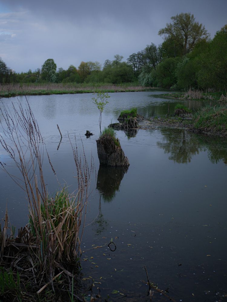 Паміж дажджлівага надвор\'я
