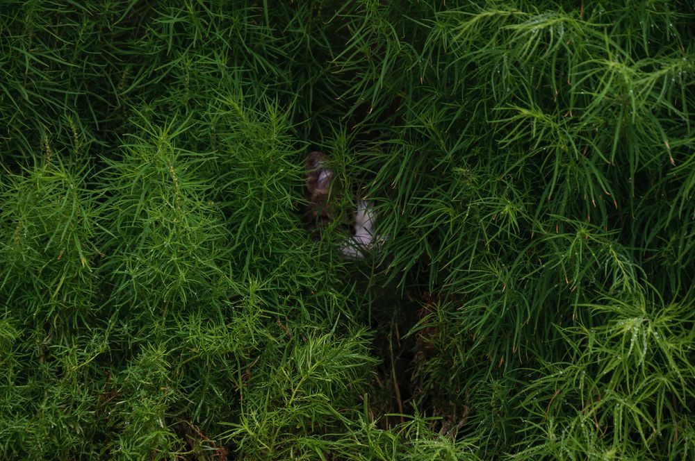 Photograph by Александр Поцелуев