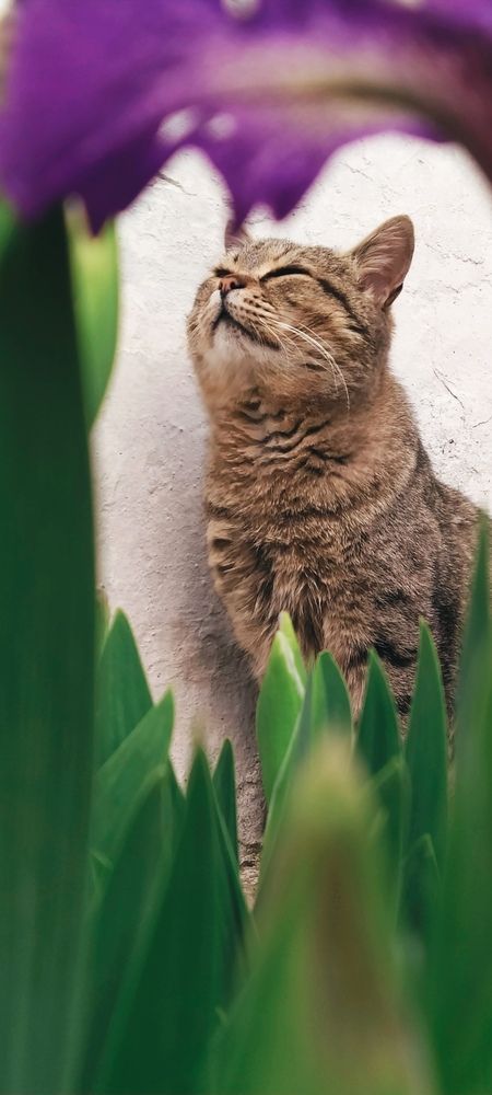 Фотография автора Наталья Алексеева