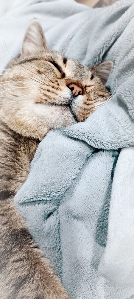 Фотография автора Наталья Алексеева