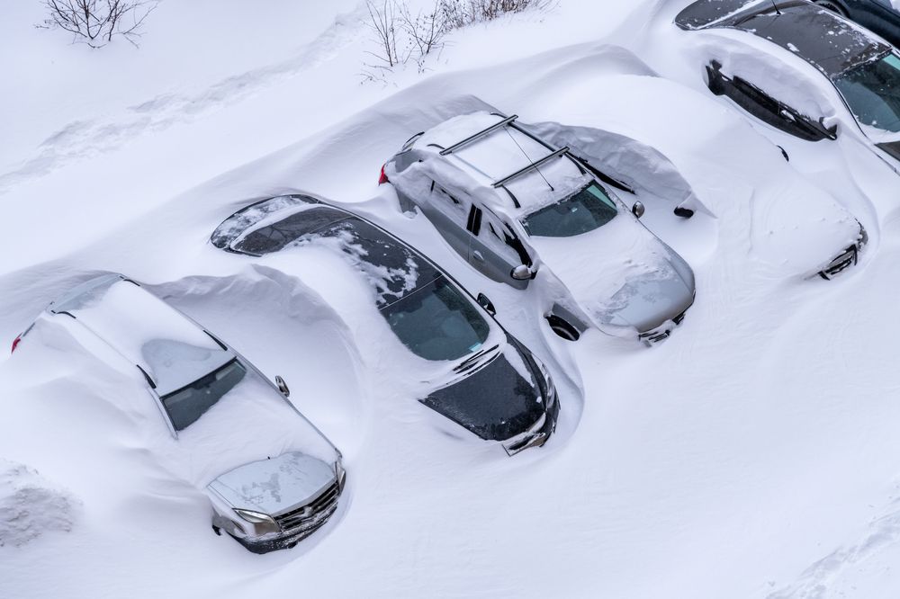 Photograph by Рыков Андрей