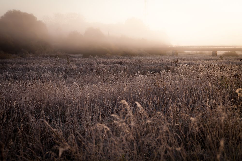 Photograph by Наталия Викторовна
