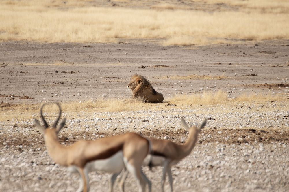 Photograph by Verena Wendl