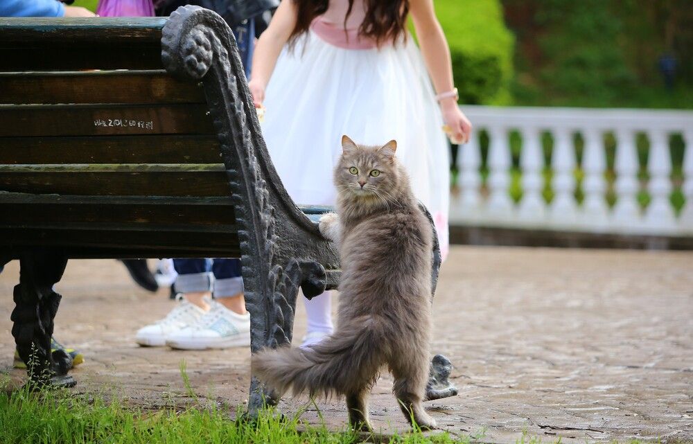 Photograph by Дарья Александровна Емельянова