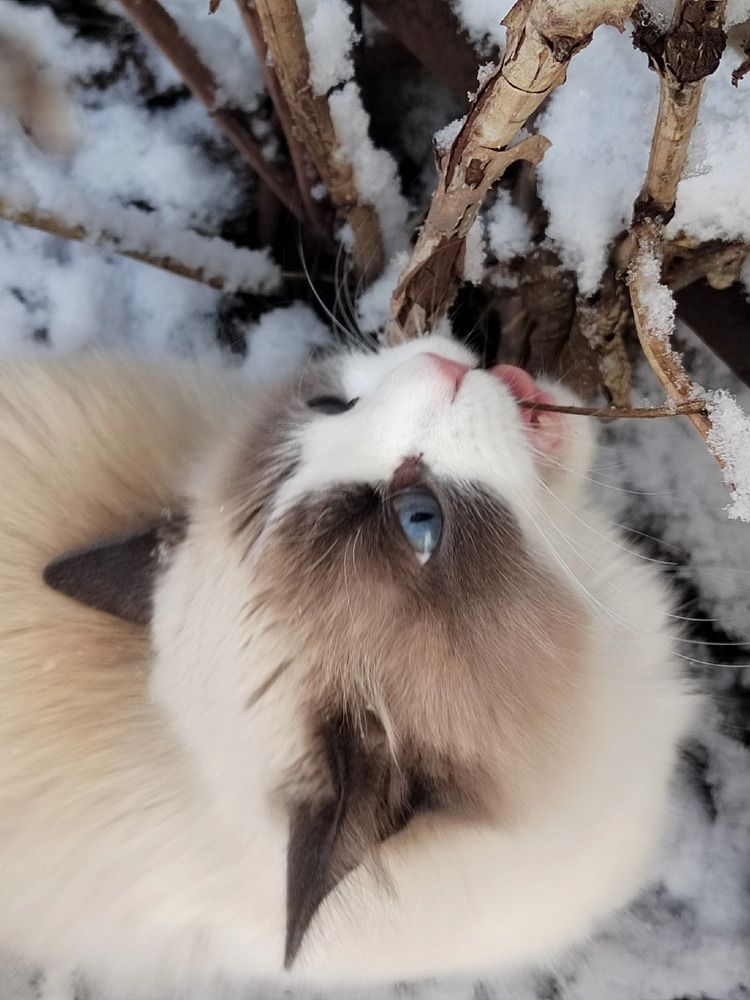 Photograph by Куделенко Оксана