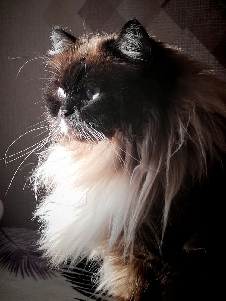 Photograph by Куделенко Оксана