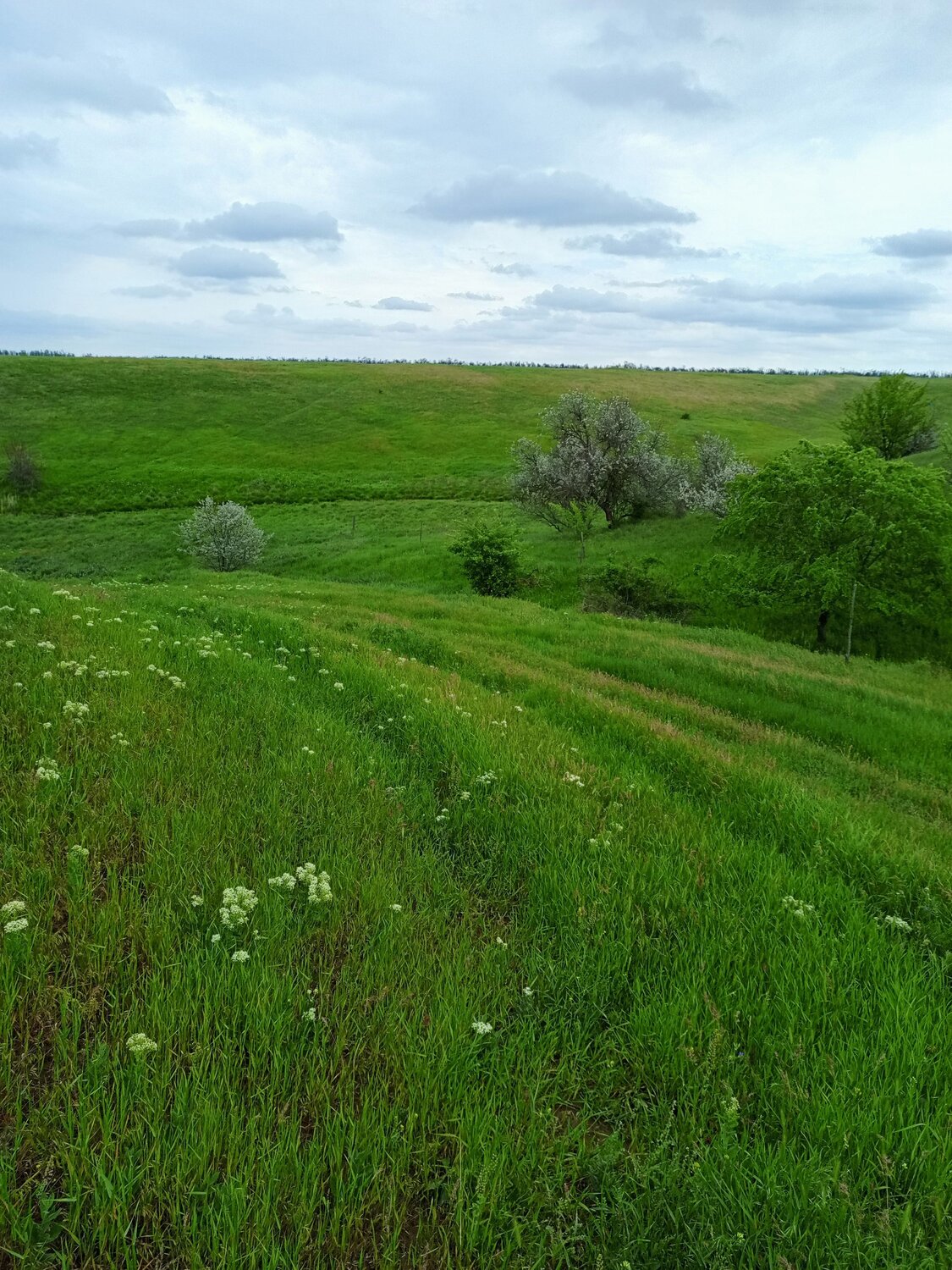 Photo #12220194