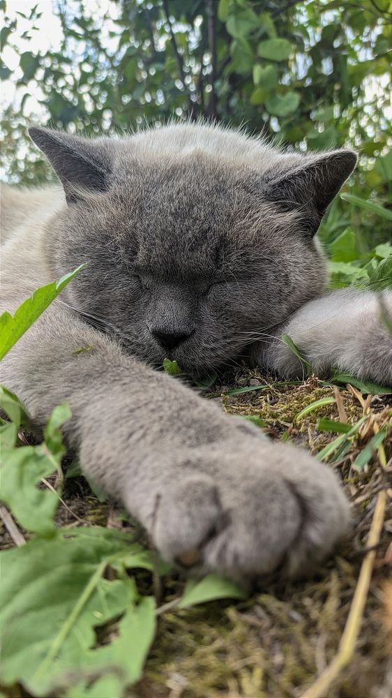 Фотография автора Васильева Ирина