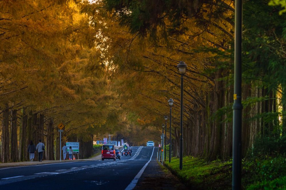 Фотография автора Quan Hung