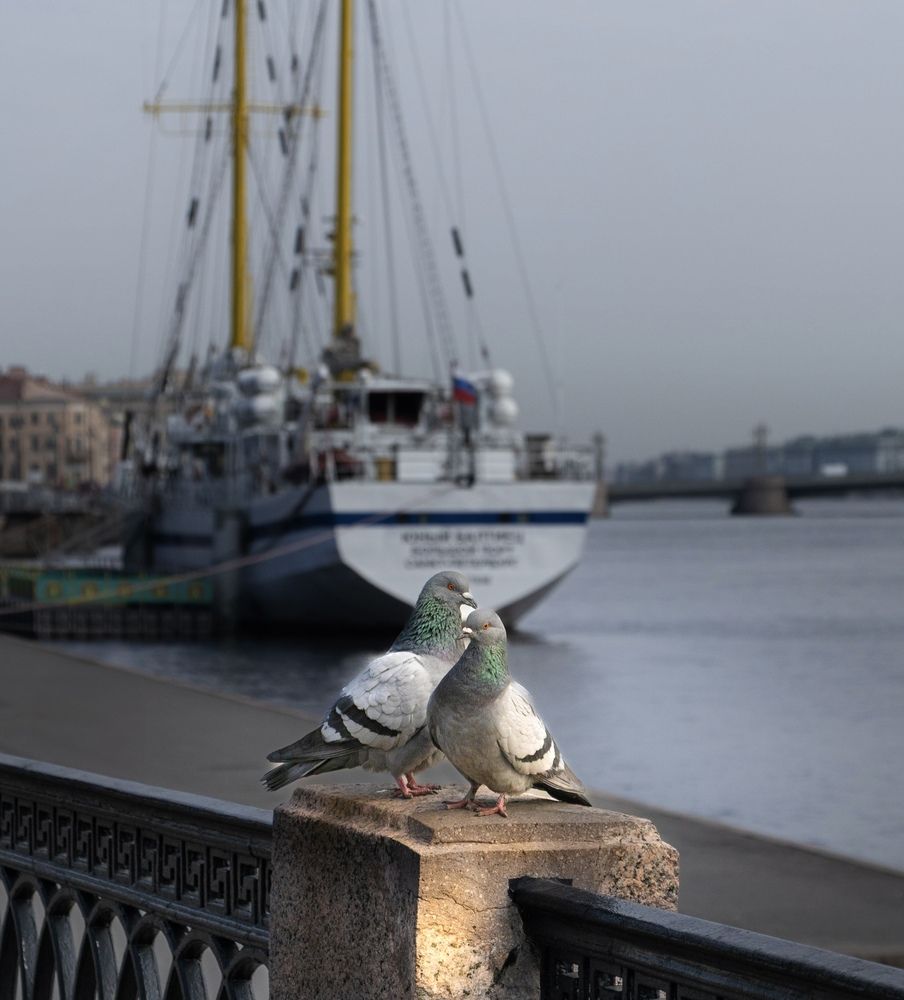 Photograph by Гордий Михаил