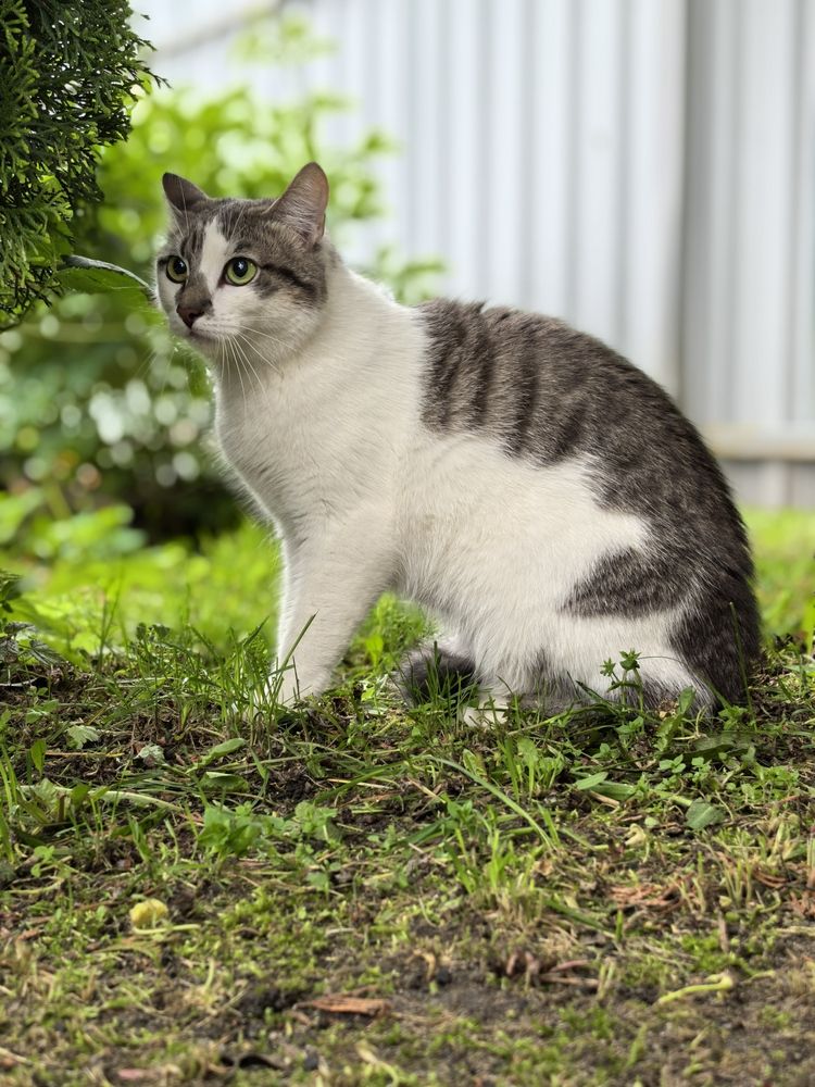 Фотография автора Александр Сипаров
