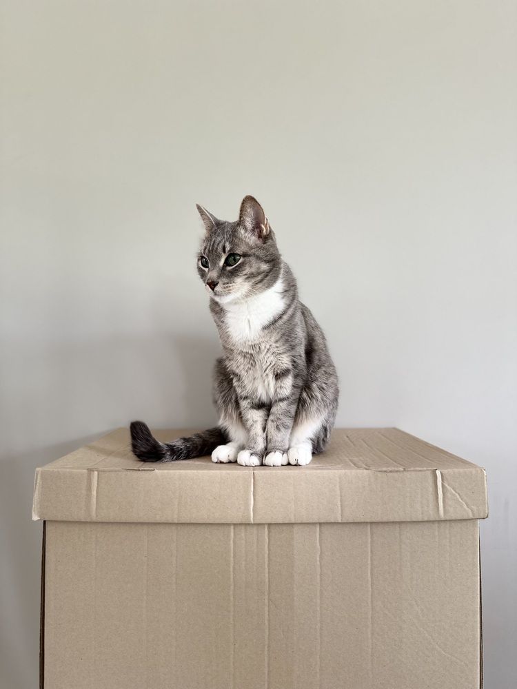 Photograph by Мария Петрова