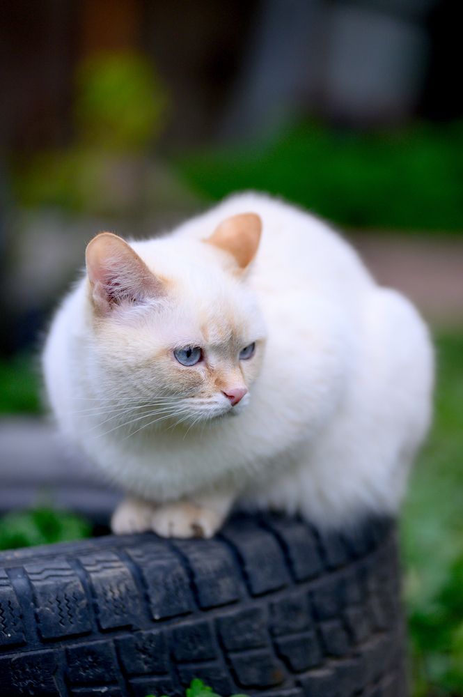 Photograph by Юлия Полянцева