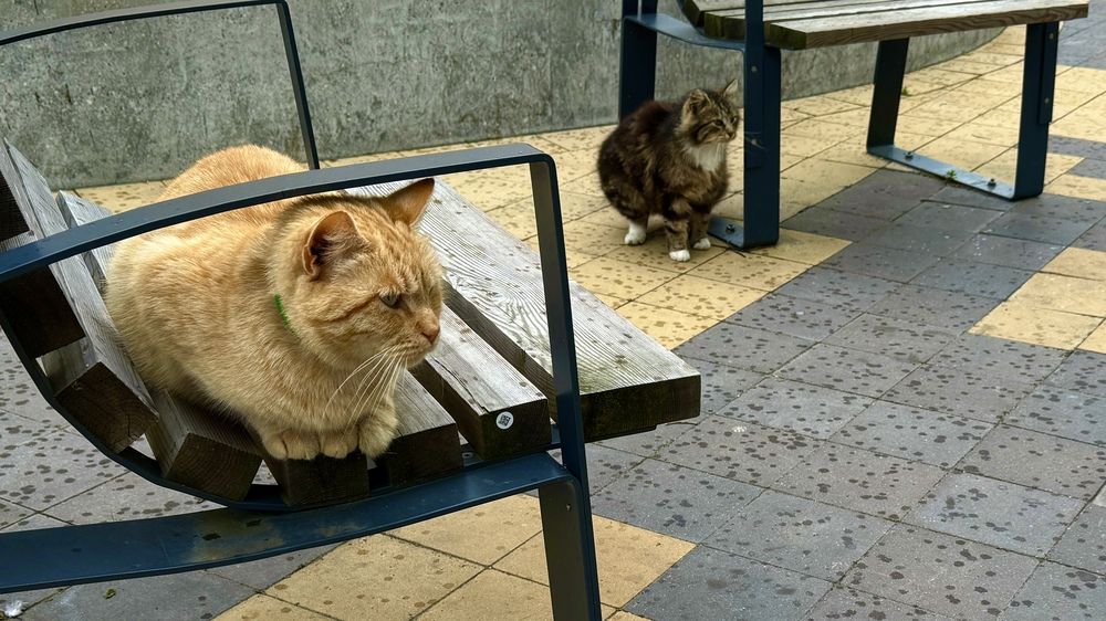 Photograph by Сергей Смирнов