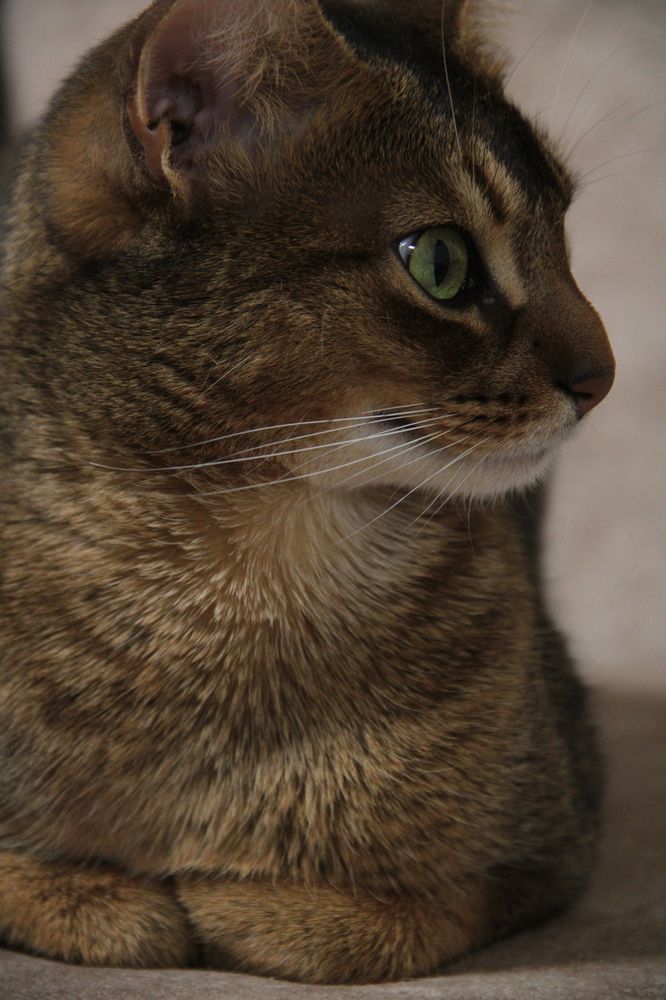 Photograph by Людмила Лапытова