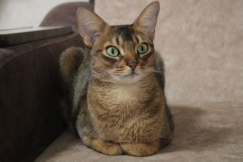 Photograph by Людмила Лапытова