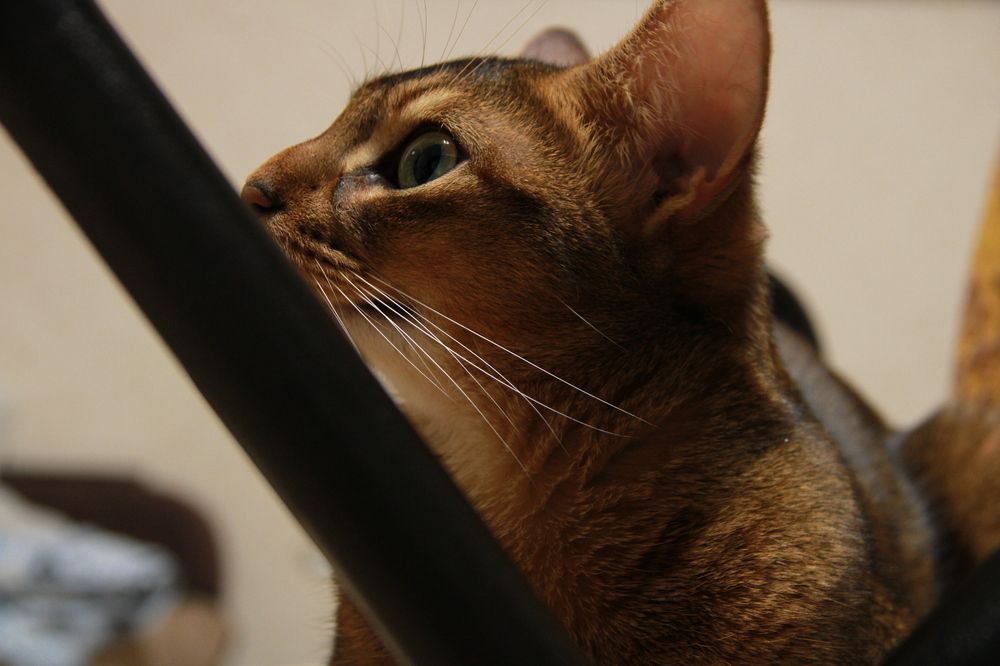 Photograph by Людмила Лапытова