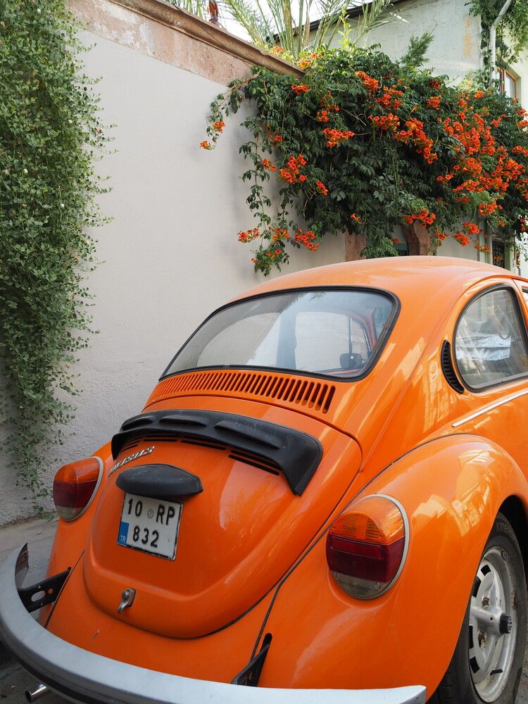 Photograph by Евгения Мягкова