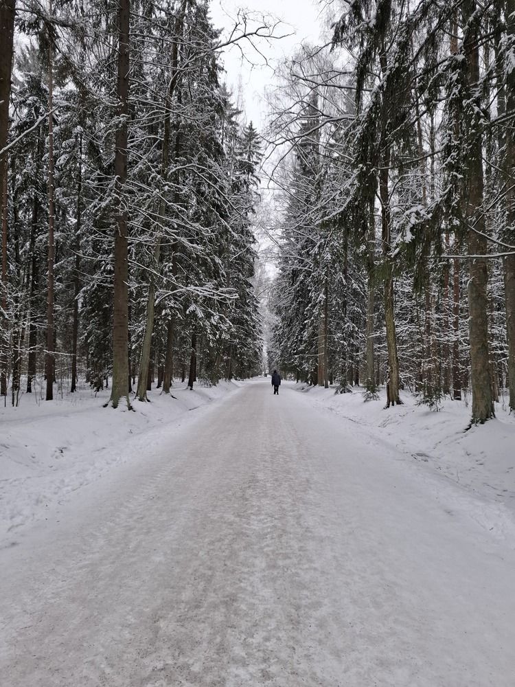 Photograph by Екатерина Балобанова