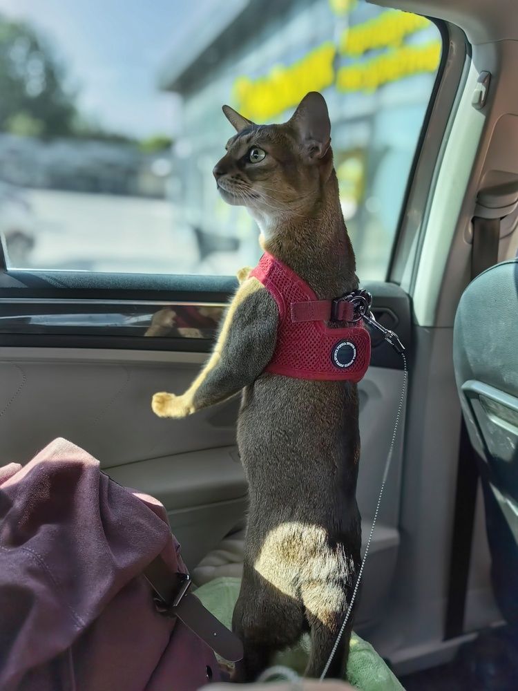 Photograph by OLGA MIKHNEVICH