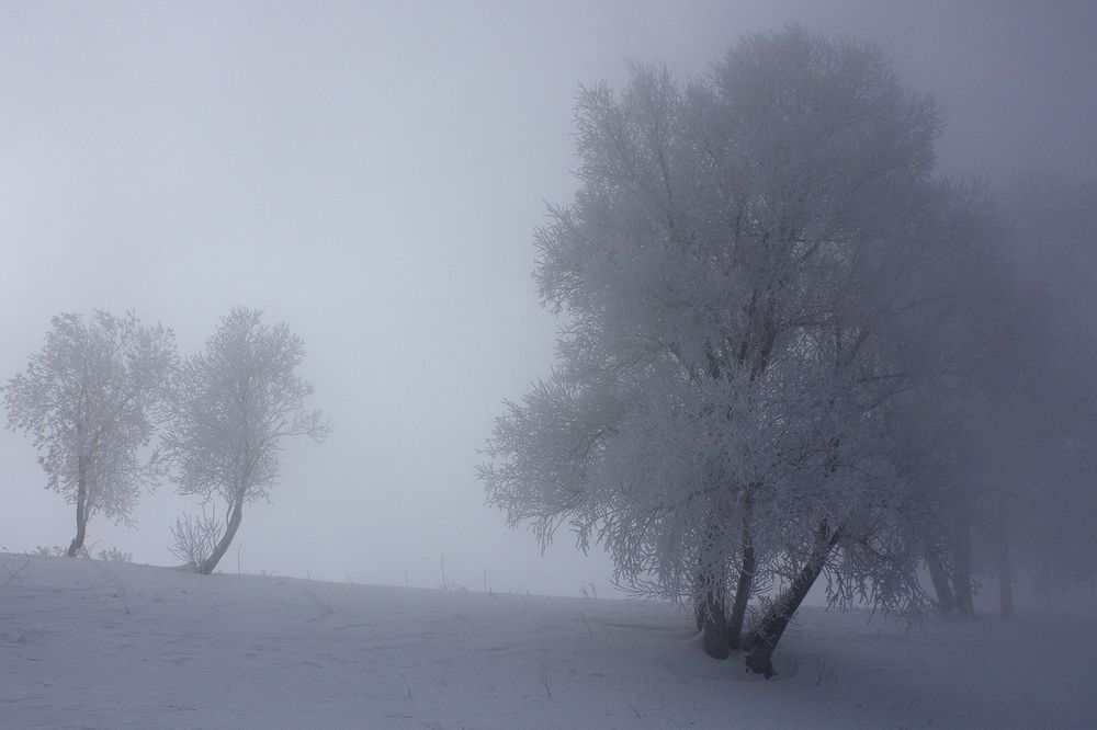 Photograph by Олег Тетерин