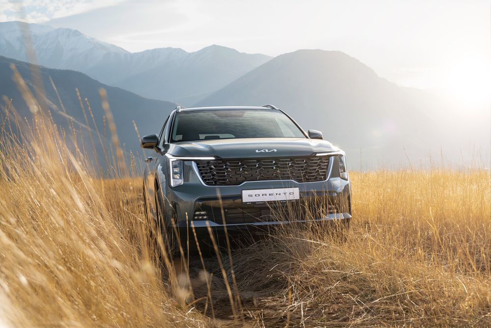 Photograph by Александр Дорогов