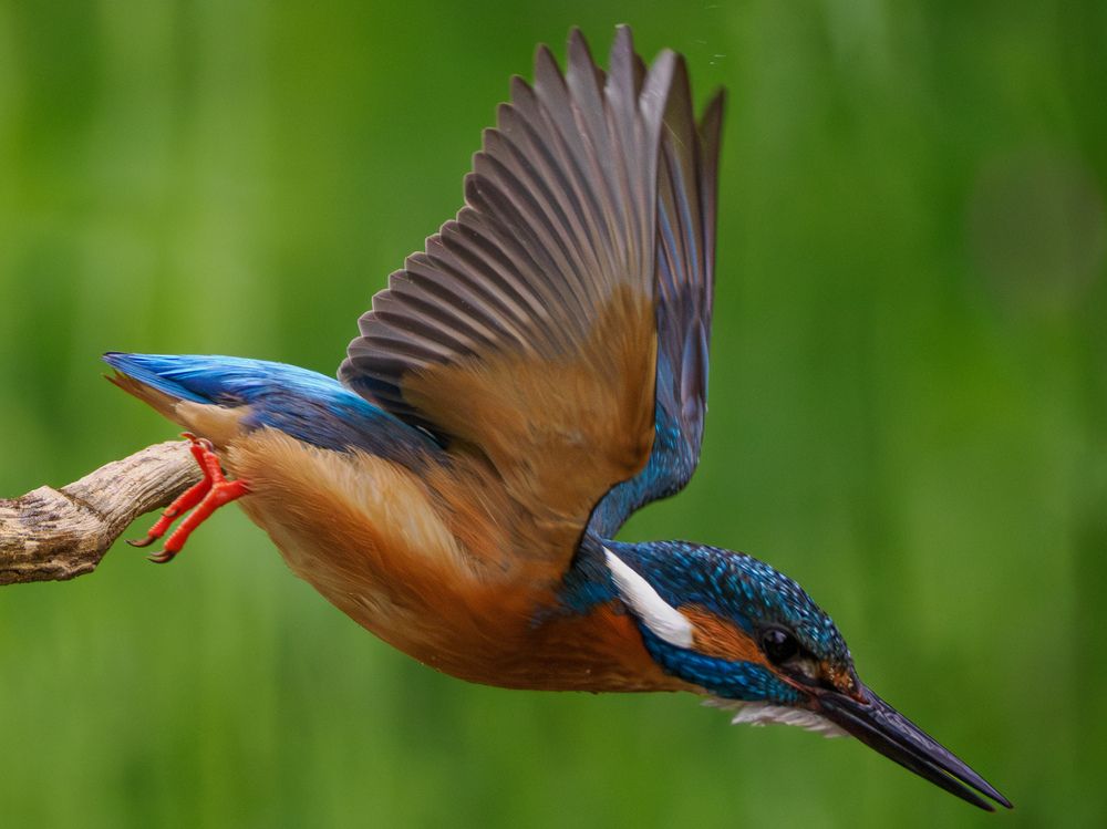 Фотография автора Daniela Retzer