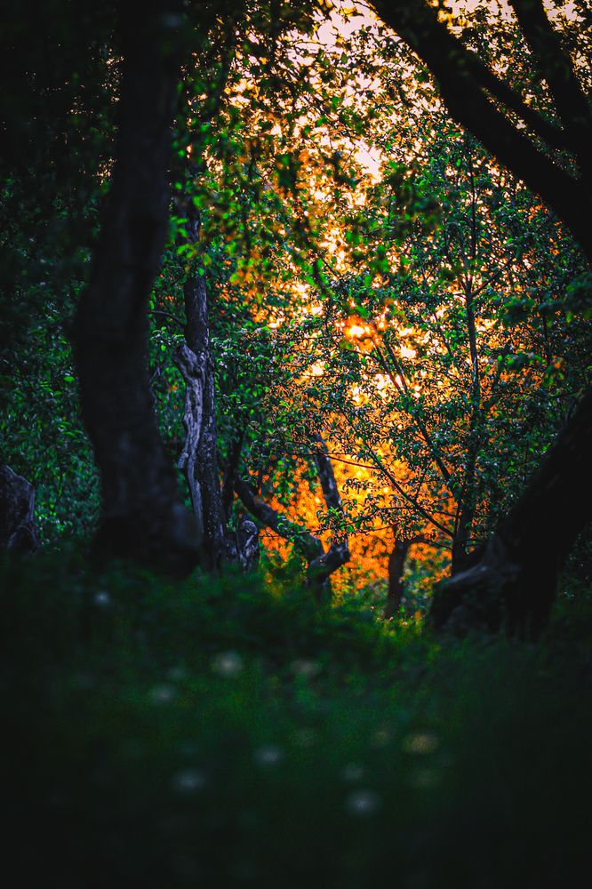 Photograph by Игорь Толкачев