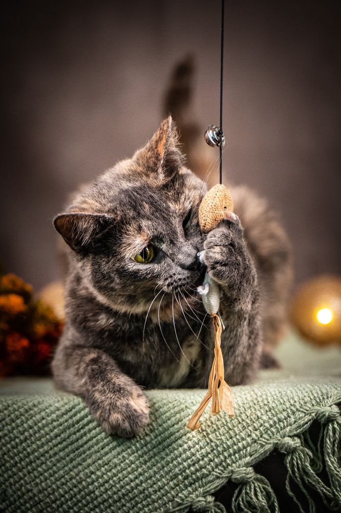 Photograph by Ольга Пачина