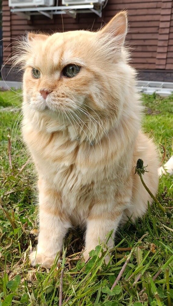 Photograph by Ольга Якубова