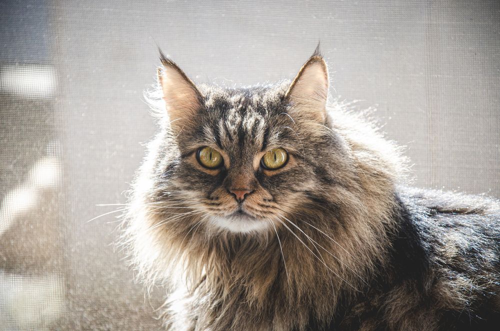 Photograph by Дрынов Виталий