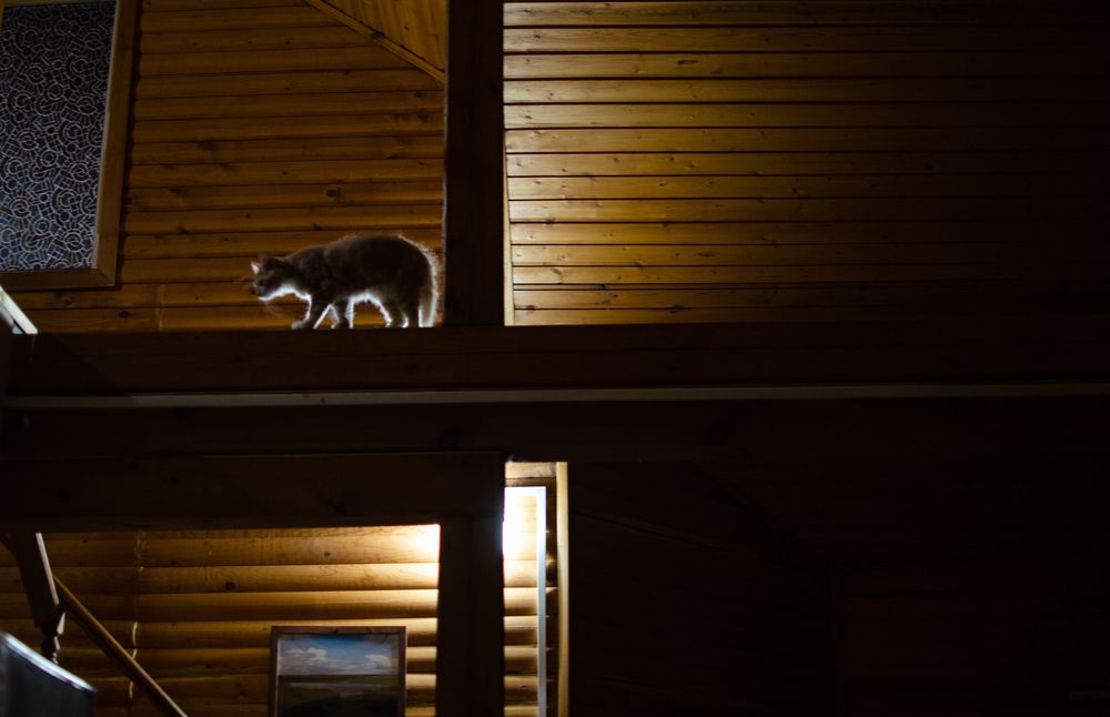 Photograph by Екатерина Карвасарская