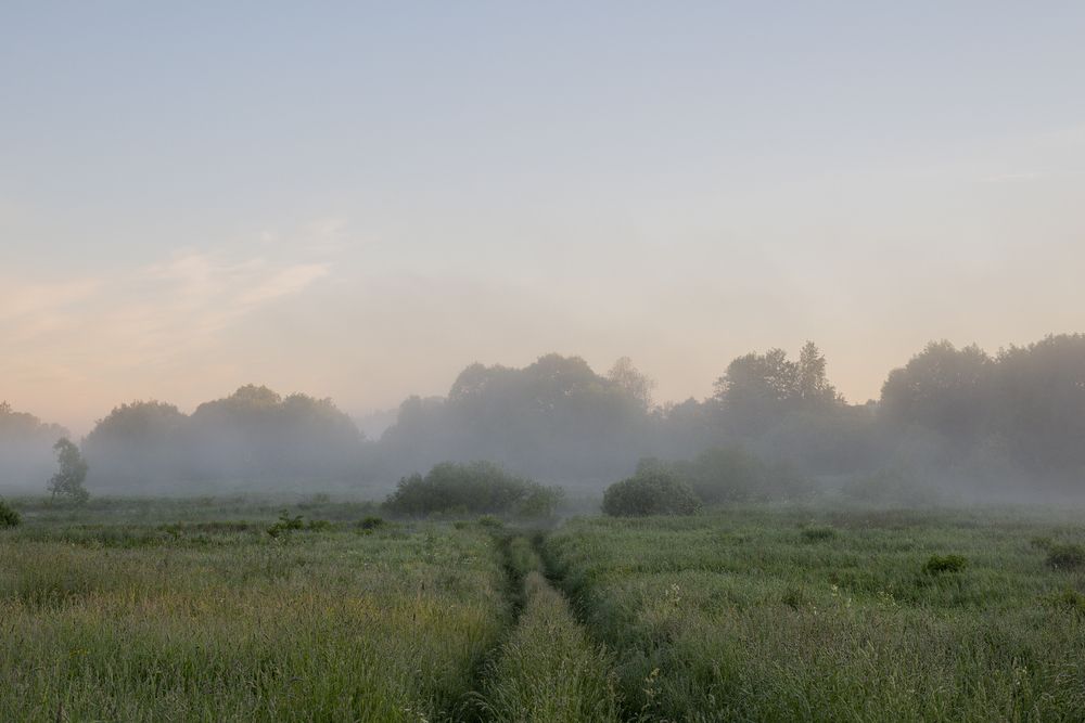 Photograph by Наталия Викторовна