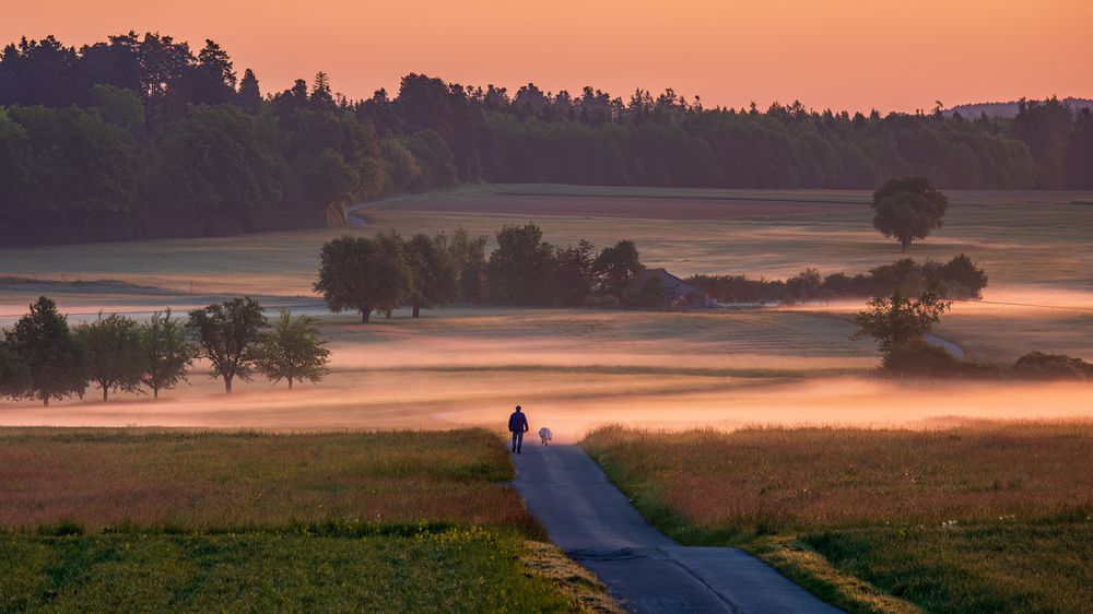 Photograph by Сергей Шишмарин