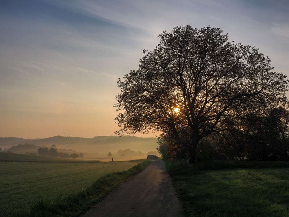 Photograph by Сергей Шишмарин
