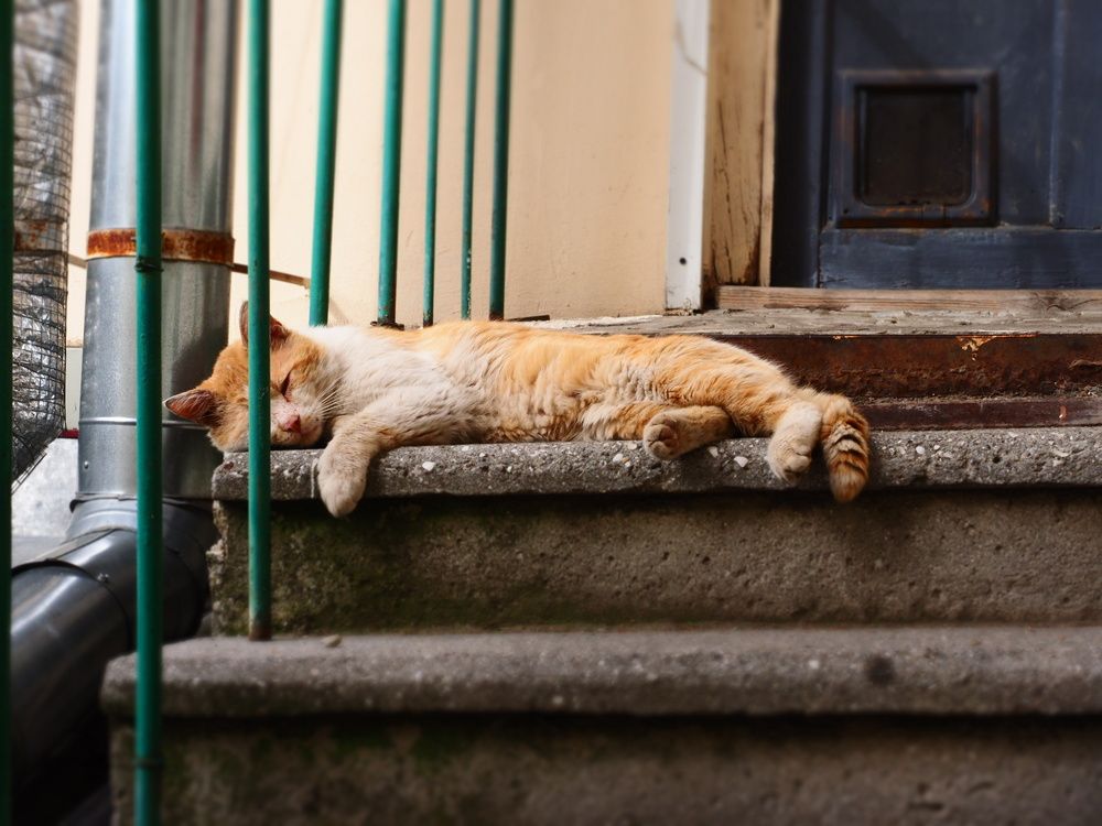 Photograph by Любовь