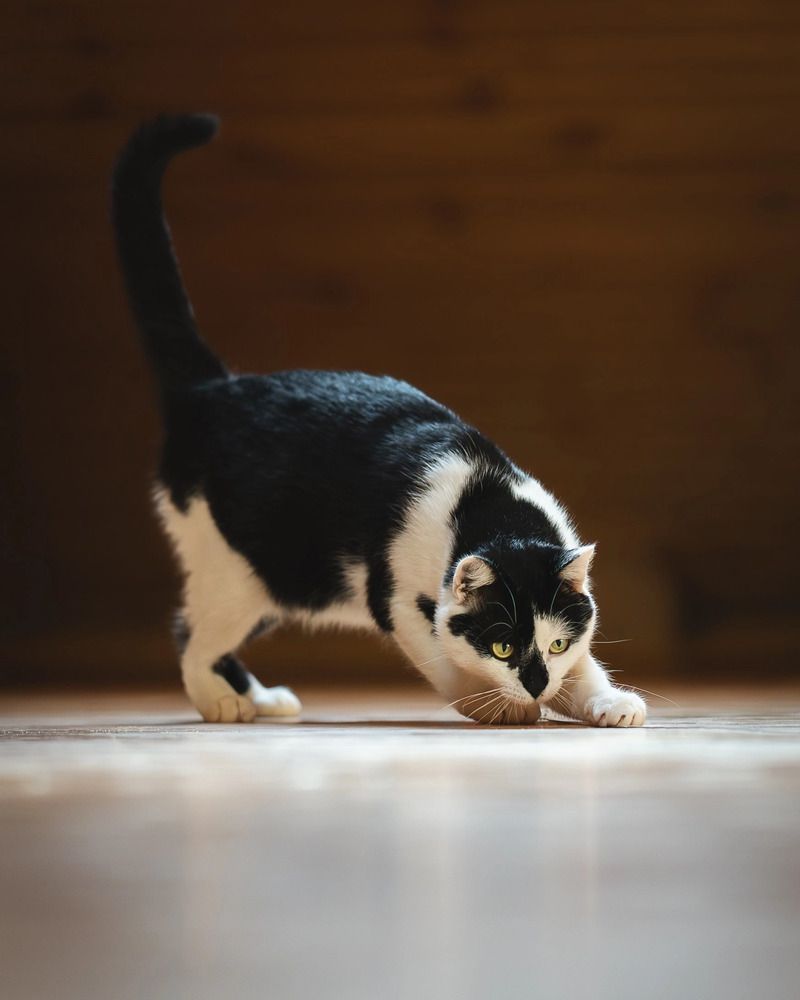 Photograph by Данил Шауба