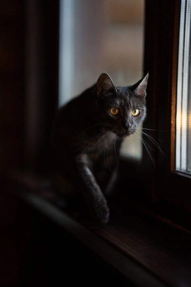 Photograph by Данил Шауба